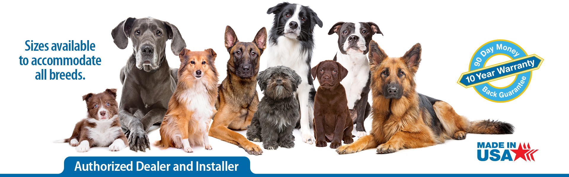 a happy golden retriever in the back yard